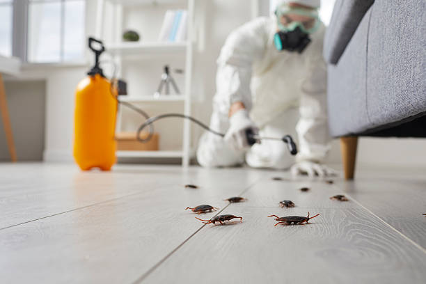 Commercial Kitchen Cockroach Control in Orlando